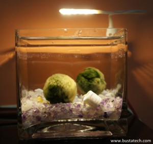 DIY USB Led d'aquarium - Résultat final