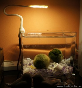 DIY USB Led d'aquarium : Vue globale